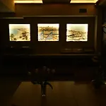 Villa Cannes Resort Zakopane - Grota Solna, Sauna Finska